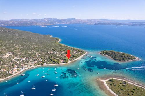Veliki Drvenik Villa | Art Beach House