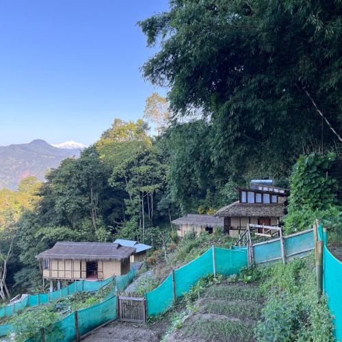 Turuk Hotel | Art Mile Kalimpong