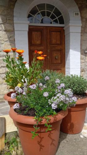 Burzanella Bed & Breakfast | Artemilland B&B