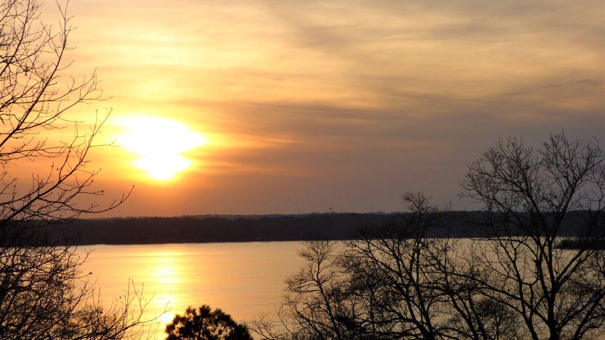 Georgetown Cabin | Artisan Cottage - Lakefront on Lake Eufaula!