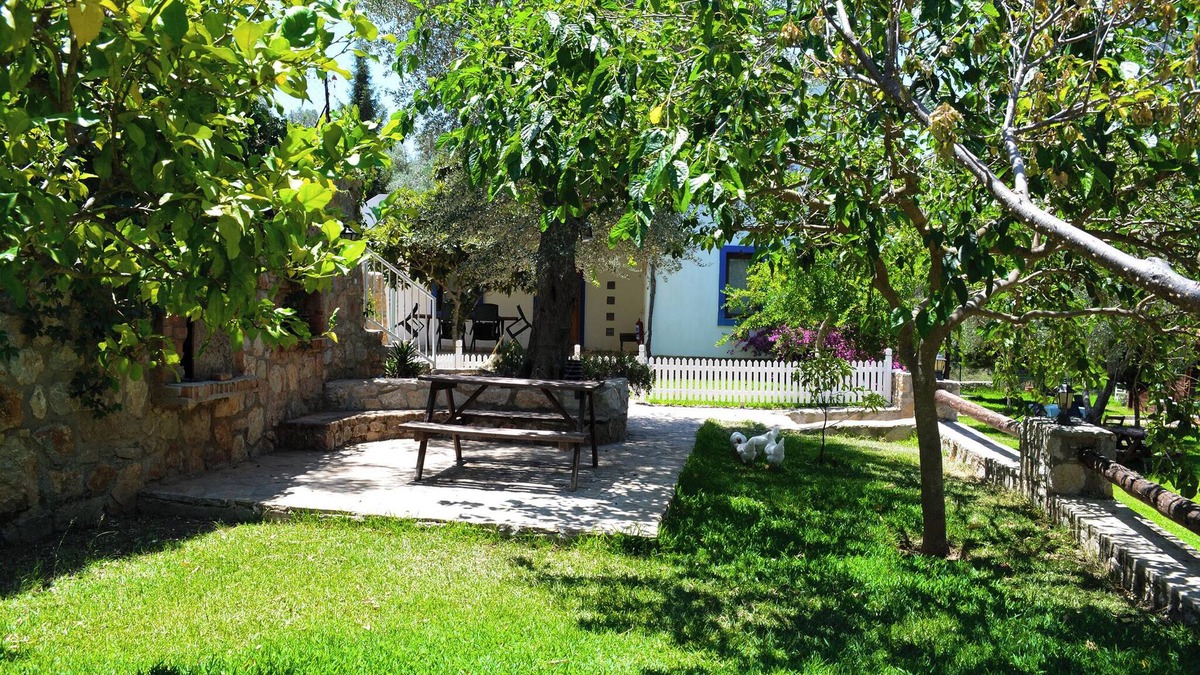 Datca House | Artolive Datca