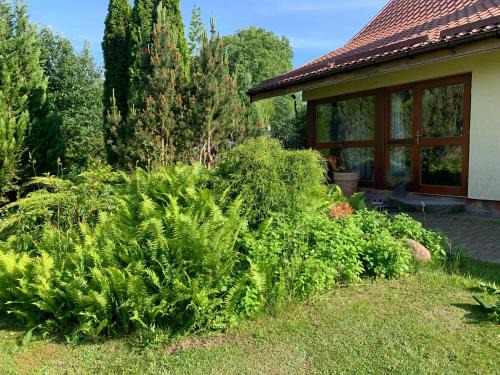 Gizycko Apartment | Artystyczna sielanka