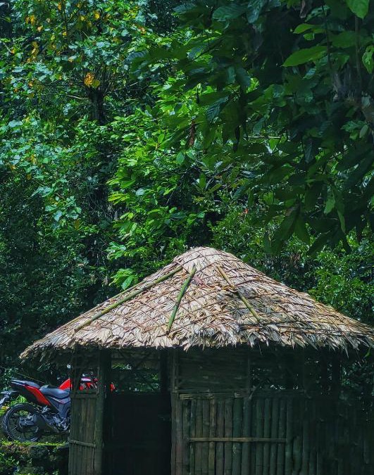 Devikolam Villa | Aruvi Homestay idukki