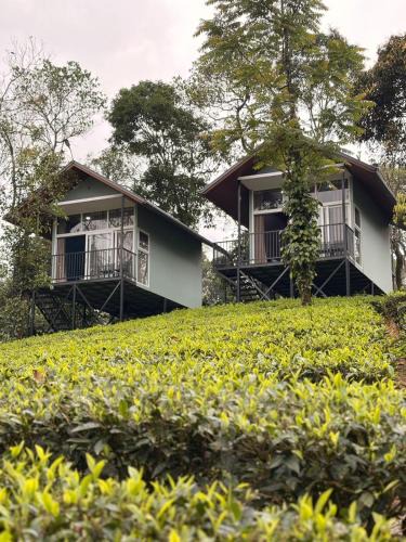 Elappara Hotel | Arvion Holidays