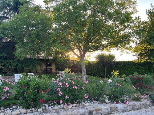 Petrignano Apartment | Assisi, la Noce
