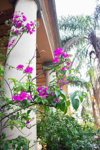 Asuncion Hotel | Asuncion Palace