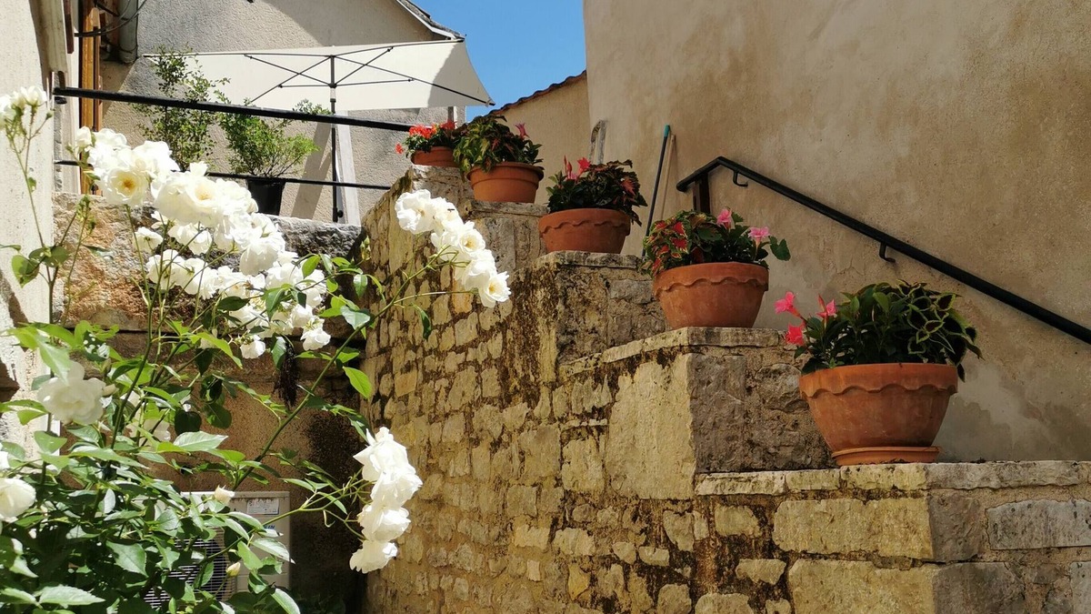Blars House | At Joséphine's lodgings