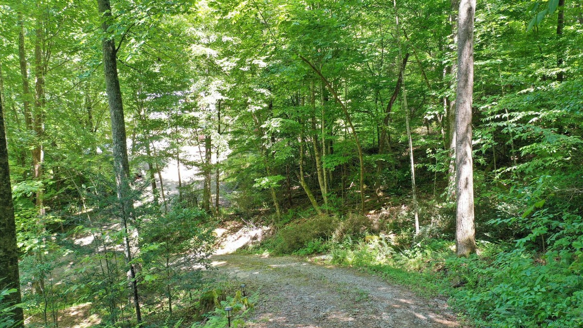 Blairsville Cabin | At My Cabin!