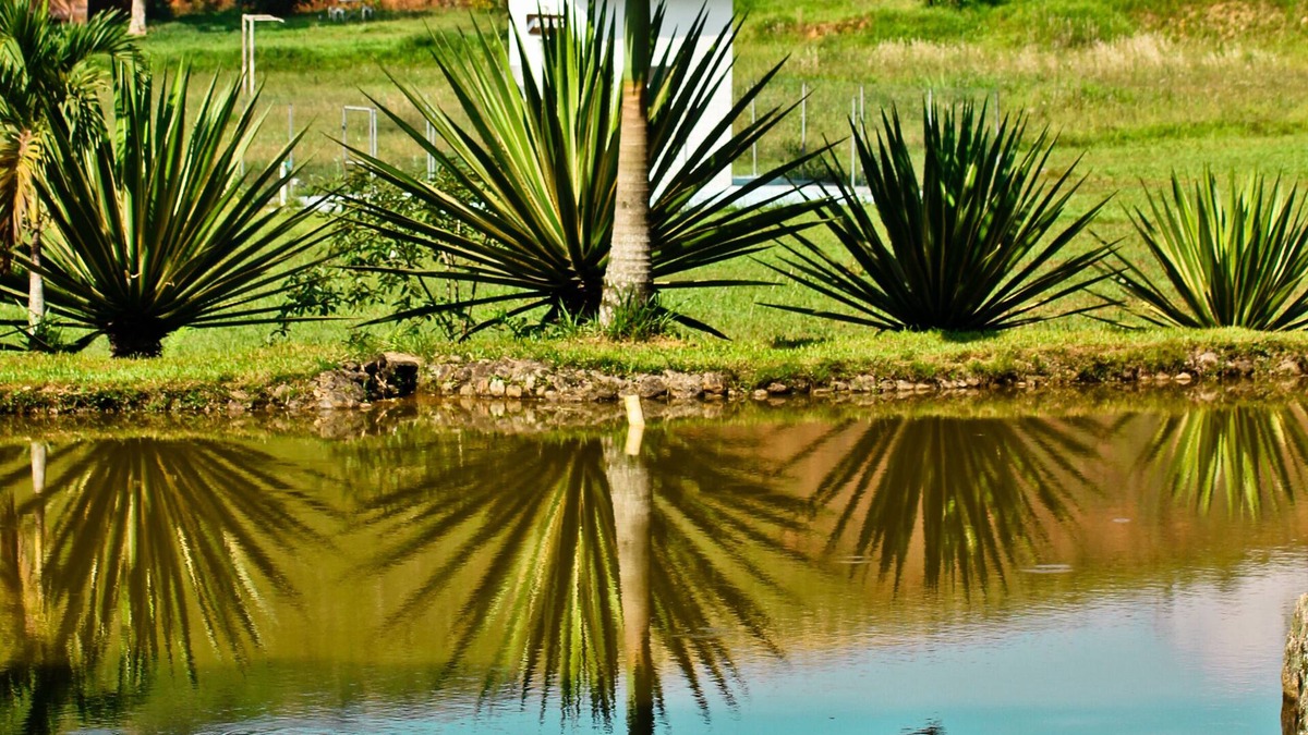 Vila Santa Alice House | At the foot of the Petrópolis mountains, 50 minutes from Rio, beautiful country house.