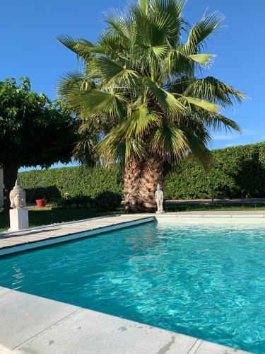 Saint-Aunes Bed & Breakfast | Atelier des Vidaux
