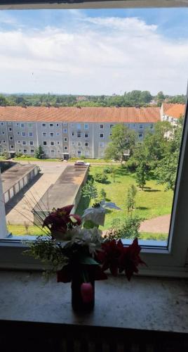 Gross Buchholz House | Atilla