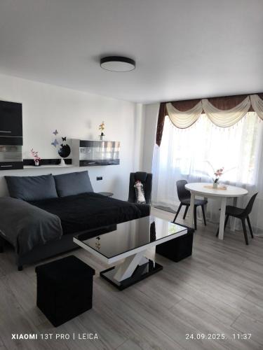 Rezekne Apartment | Atpūta pie Gora