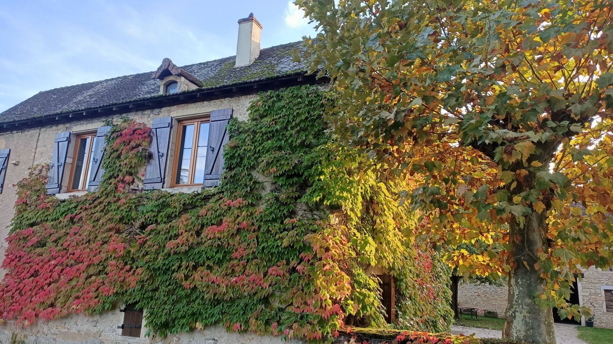 Boyer Cottage | Au calme !