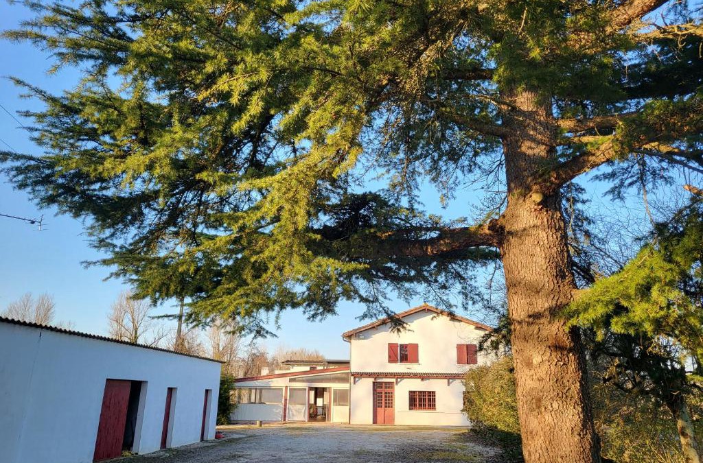 Corbarieu Hotel | Auberge du Trinquet