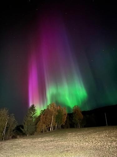 Balsfjord Apartment | Aurora apartment Nygård