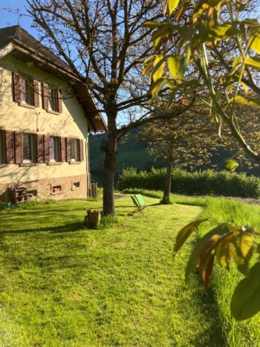 Biederbach Apartment | Auszeit im Waldhaus