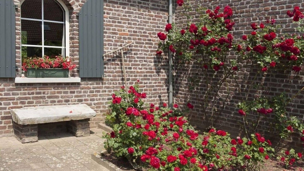 Schafelt House | Authentic Holiday Home in Baarlo with Private Terrace