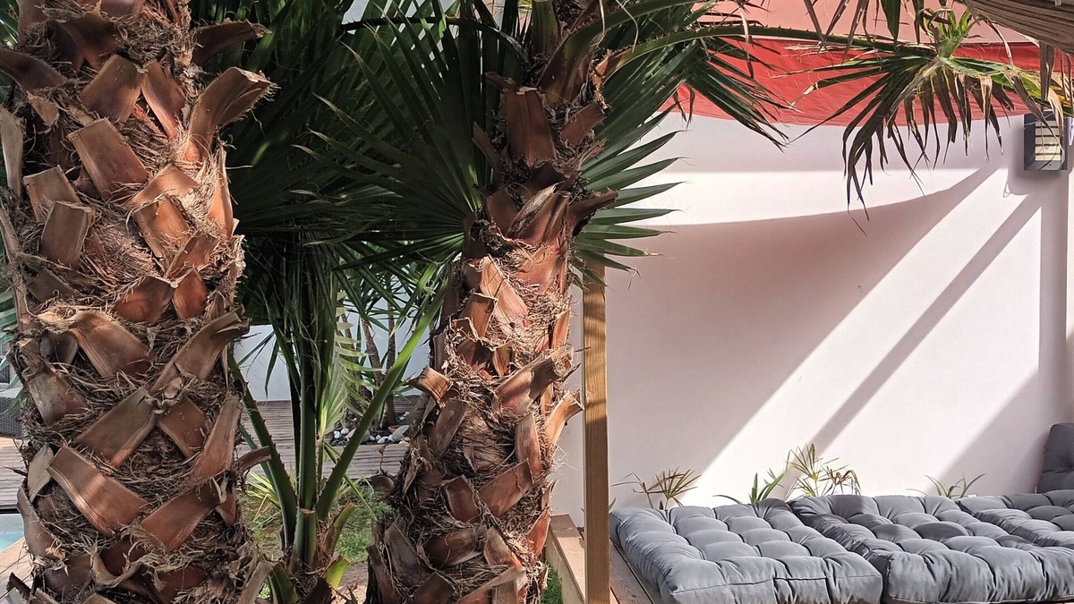 Tarnos House | Autumn cocoon in Bayonne