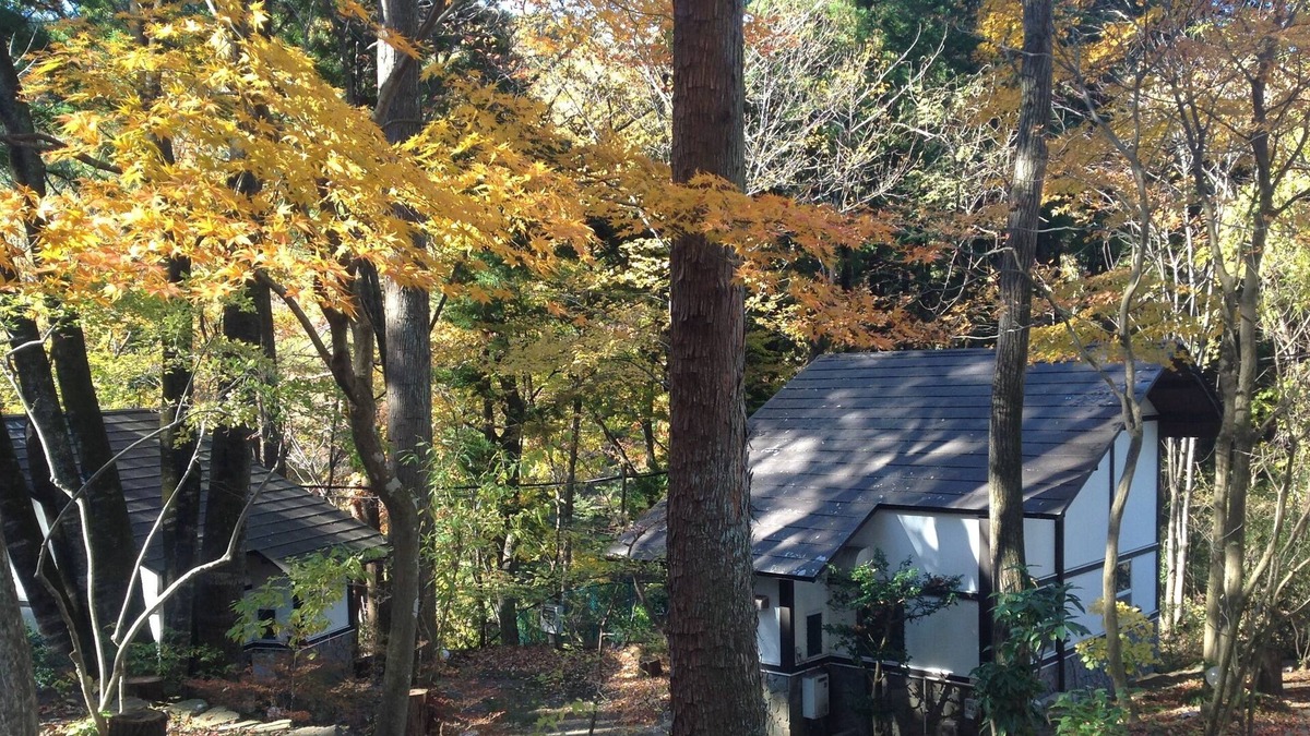 Kinugawa Onsen Cottage | Autumn leaves picking ♪ Nikko sightseeing base ♪ One station cottage can be reached by train!100 minutes by limited express from Kitasenju ♪ 4 minutes walk from station ♪ There is a lot of nature near the station.Kinugawa Onsen is cheaper than the expe...