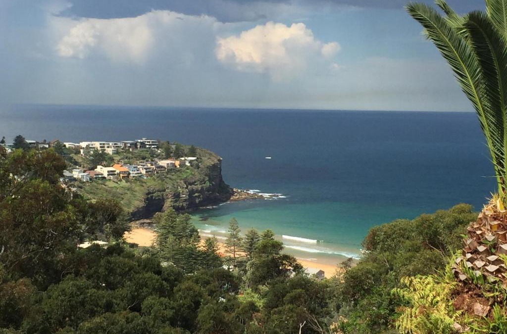 Bilgola Plateau Apartment | Avalon Horizons