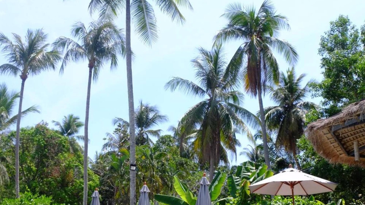 Ko Yao Hotel | Awana Villa Resort Yaonoi