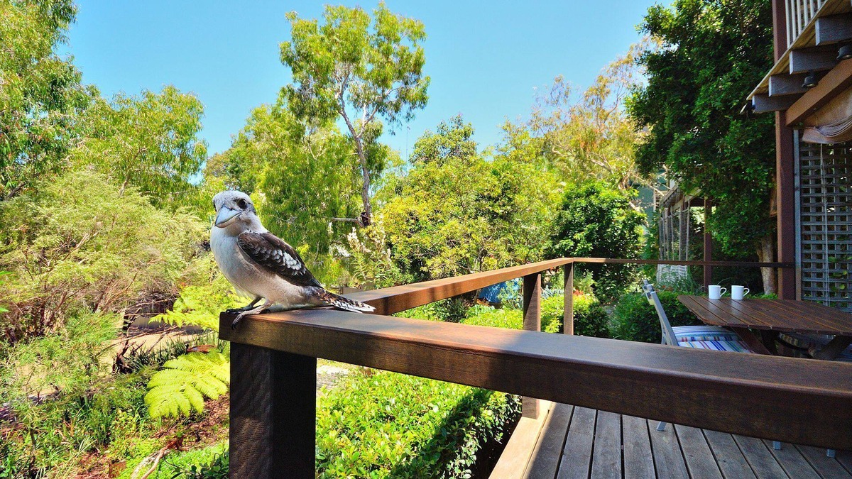 Sunshine Beach Apartment | Award-winning private peaceful for couples mins to beach National Park & village
