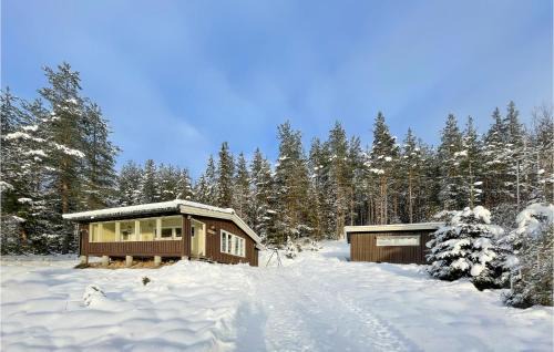 Trysil House | Awesome Home In Trysil With Wifi