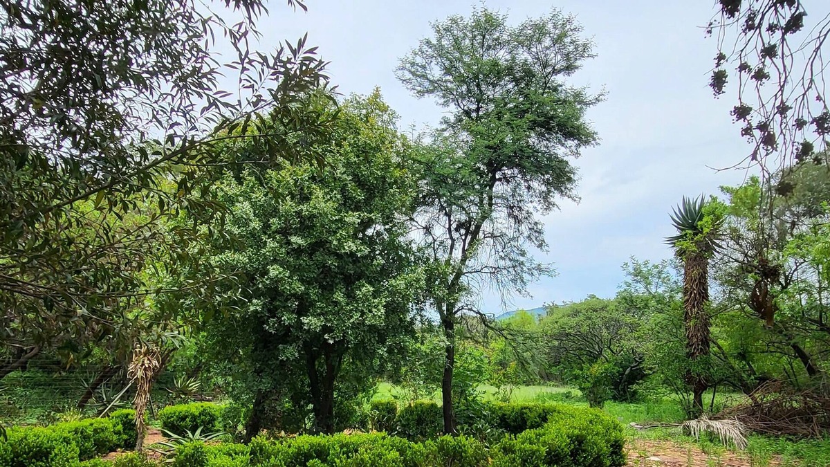 Pretoria Other | Awoken House of Consciousness - Peaceful & tranquil, curated for wellnes & rest.