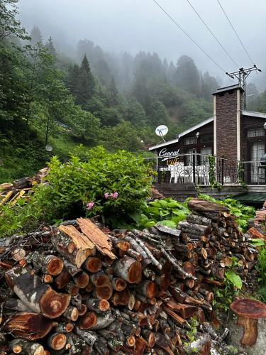 Ayder Yaylasi Villa | Ayder Gencal Villa