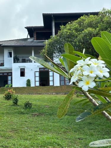 Halpatota Apartment | Ayurishi Villa