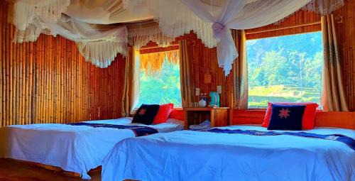 Thong Nguyen House | Bình Minh homestay