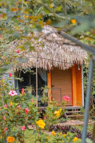 Moc Chau Other | Bó Bun Homestay Mộc Châu