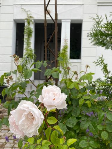 Glemminge House | B&B Österlens RosenTrädgård