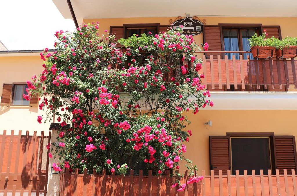 Massa d'Albe Bed & Breakfast | B&B A Casa di Nonna