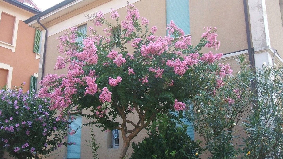 Province of Bologna Bed & Breakfast | B&B Accorsi