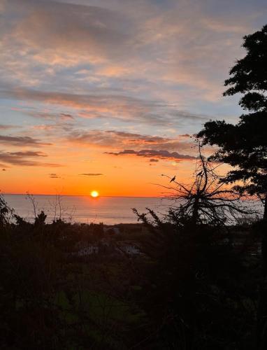 Cologna Spiaggia Bed & Breakfast | B&B Acqua e Sale
