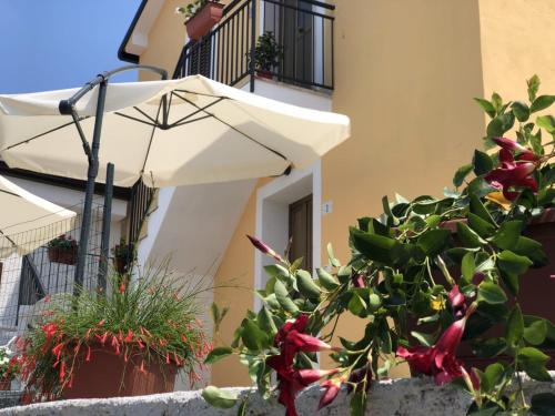 Paola Bed & Breakfast | B&B Adele