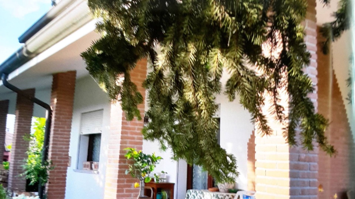 Badia Polesine Bed & Breakfast | B&B Amy & Julie
