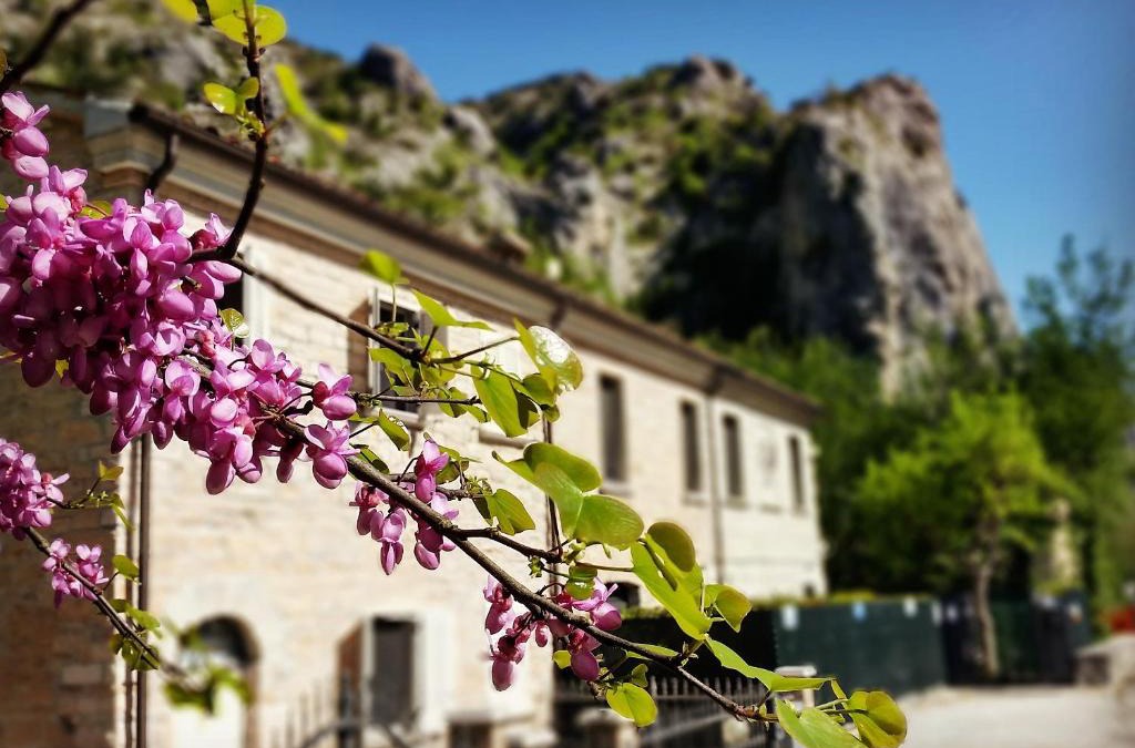 Furlo Bed & Breakfast | B&B Aquilegia