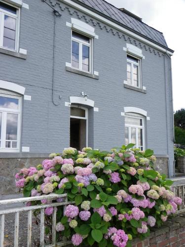 Soy Bed & Breakfast | B&B Au Bord De La Source