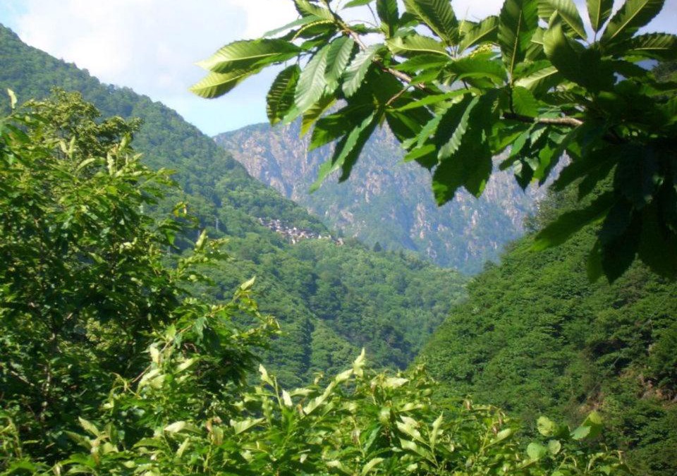 Cicogna Bed & Breakfast | B&B CA' DEL PITUR CICOGNA
