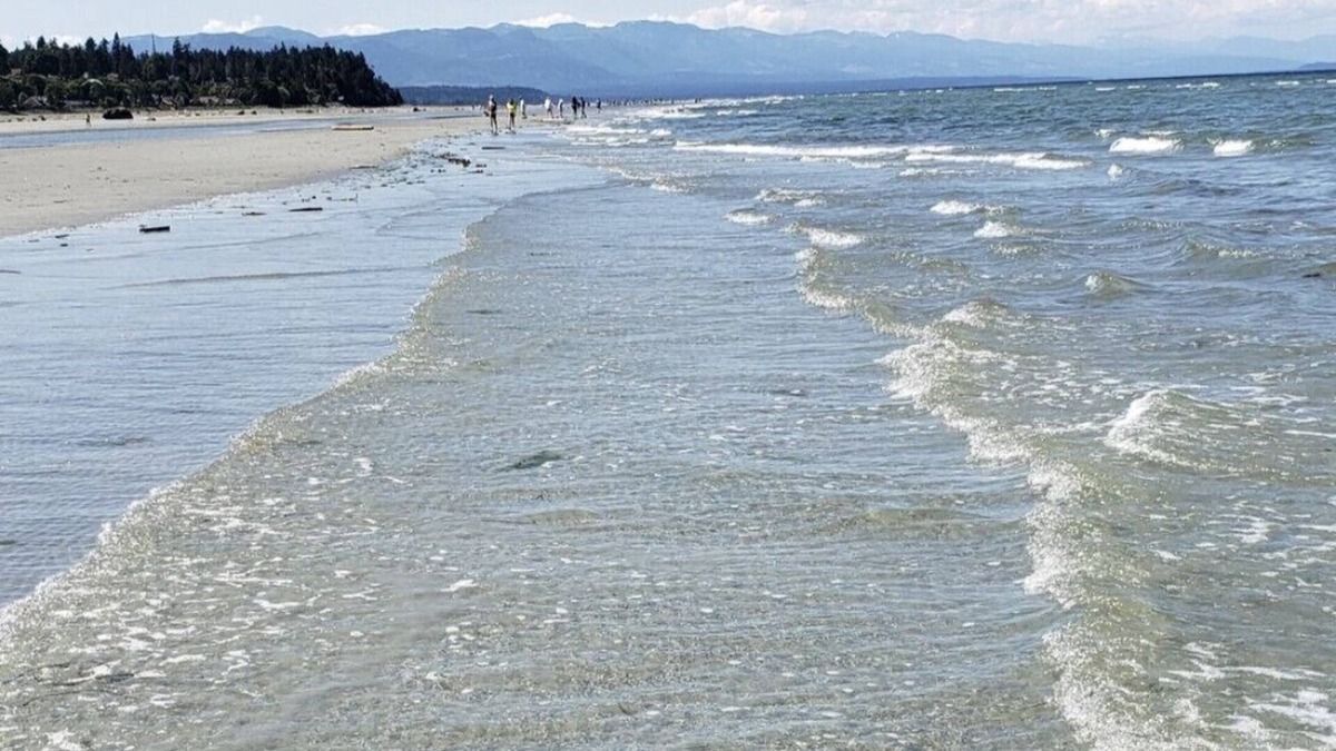 Regional District of Nanaimo House | B&B Columbia Beach, 2min WALK to ocean, queen bed, 45' parking, pets welcome