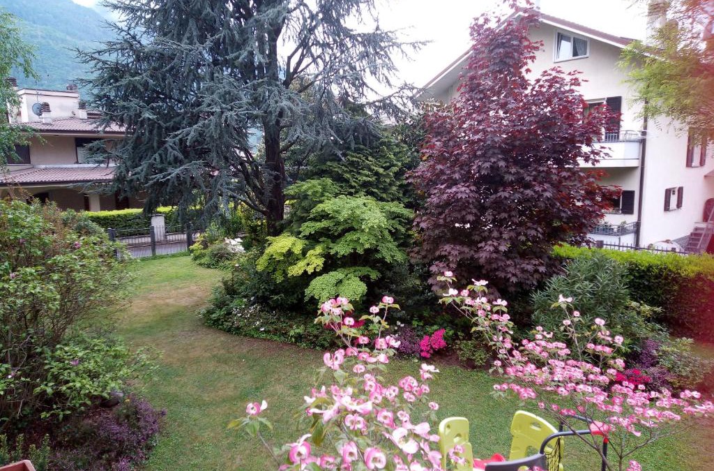 Madonna di Tirano Bed & Breakfast | B&B da Lori