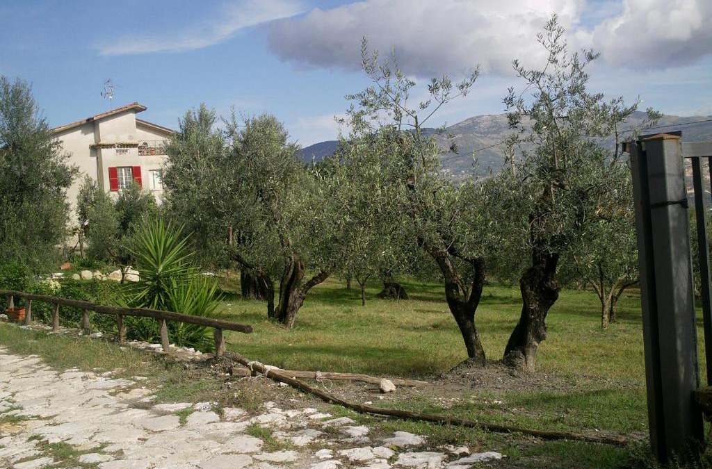 Spigno Saturnia Bed & Breakfast | B&B Da Mariella