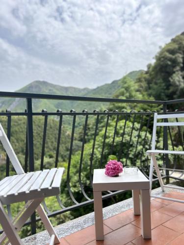 Papasidero Bed & Breakfast | B&B da Salvador