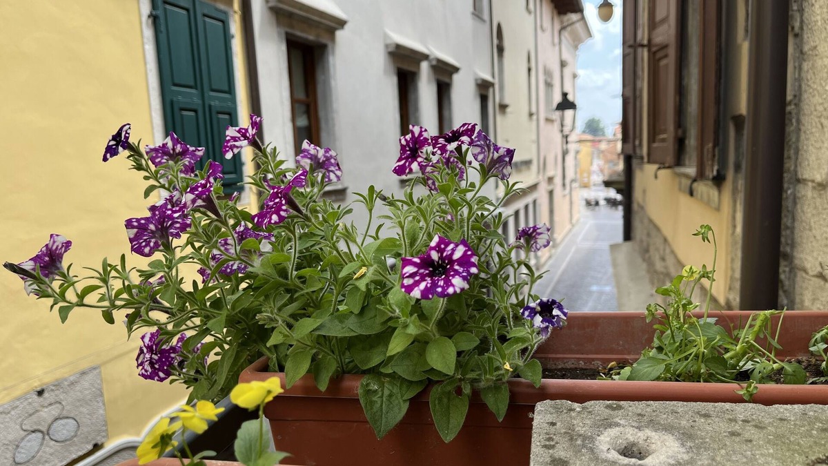 Cividale del Friuli Bed & Breakfast | B&B Dai Toscans