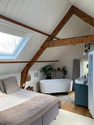 De Cocksdorp Bed & Breakfast | B&B De Vrijbuiter