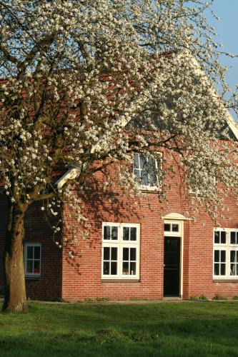 Ambt Delden Bed & Breakfast | B&B Erve ten Dam