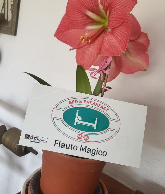 Caltrano Bed & Breakfast | B&B Flauto Magico
