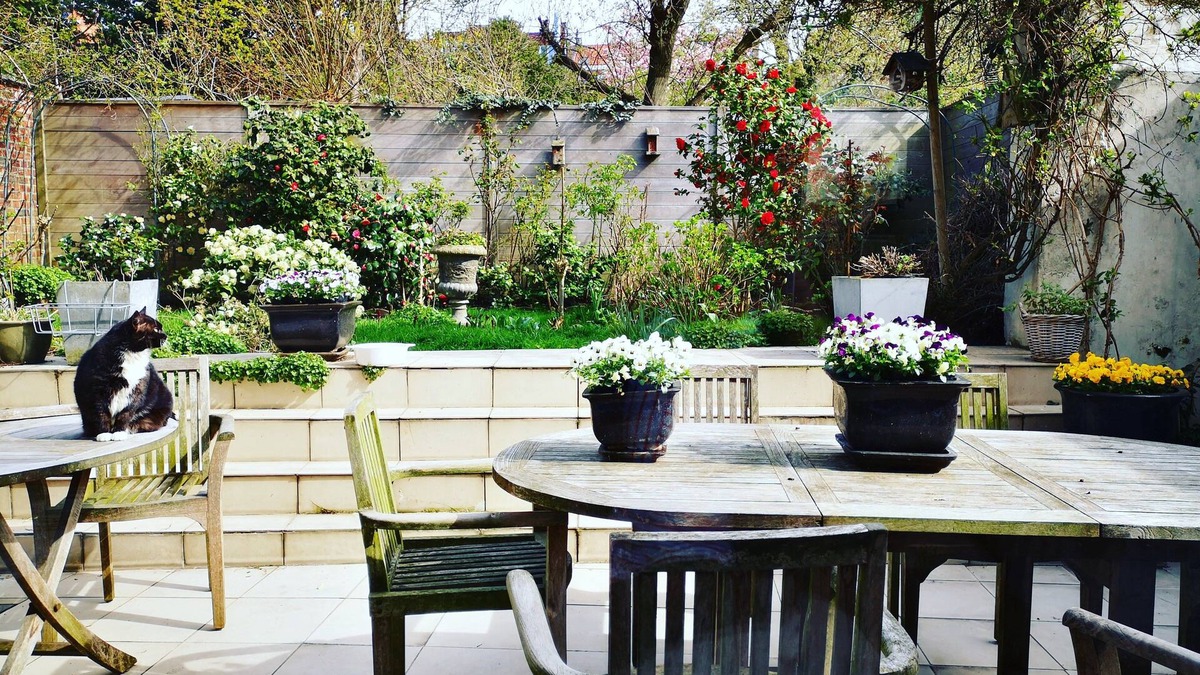 Leuven Bed & Breakfast | B&B Het Leuvens Hof